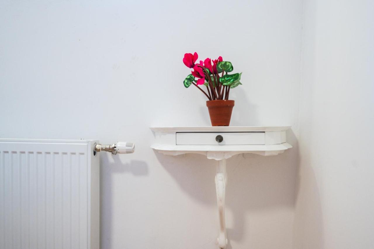 Spacious And Bright 2Bdr Apartment In The Old Town Σαράγεβο Εξωτερικό φωτογραφία